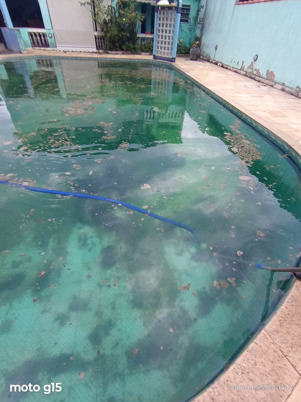 Piscina verde antes do tratamento