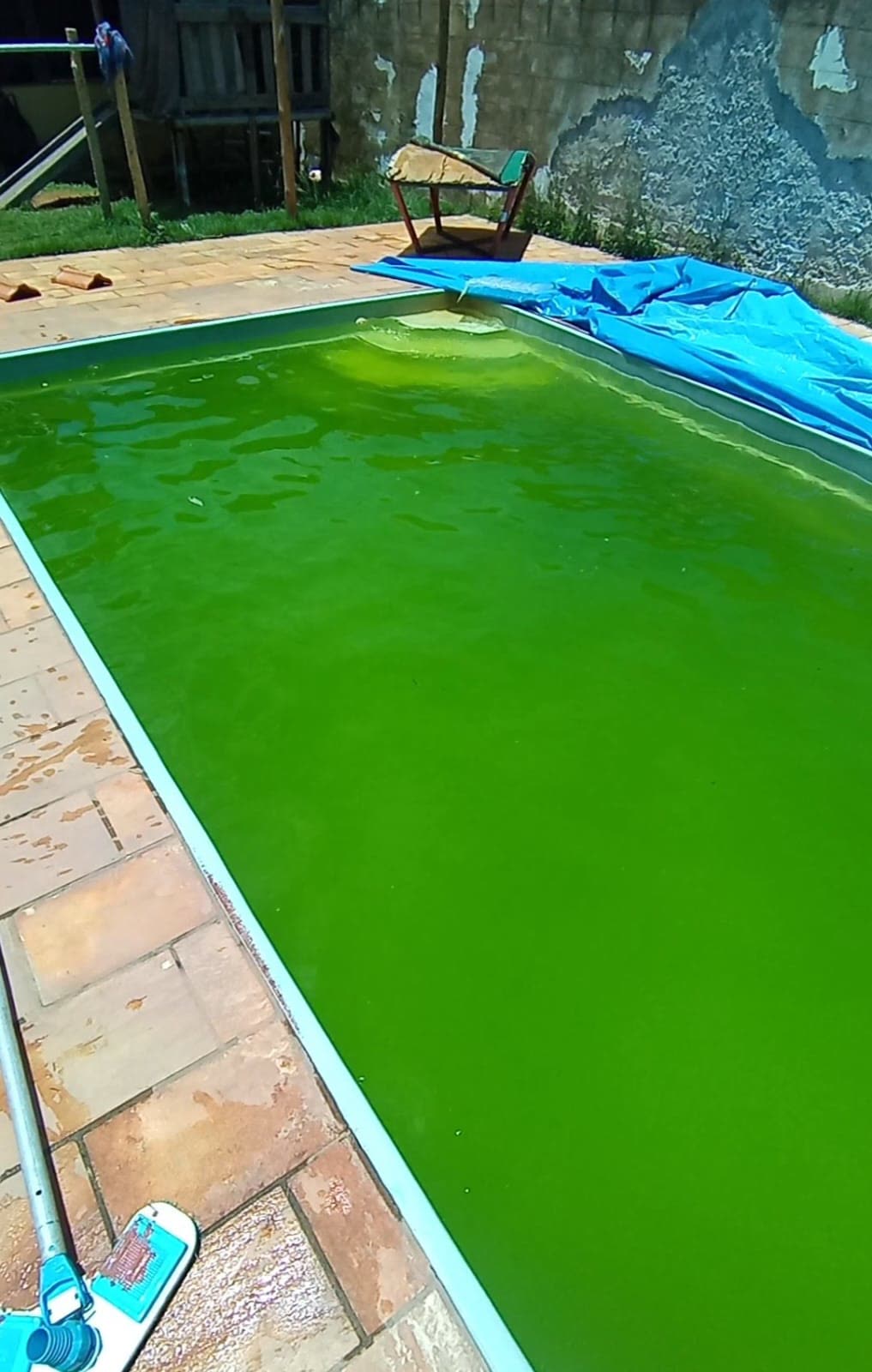 Piscina verde antes do tratamento